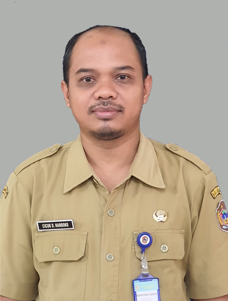 CICUK DWI HANDOKO, S.E., M.Si